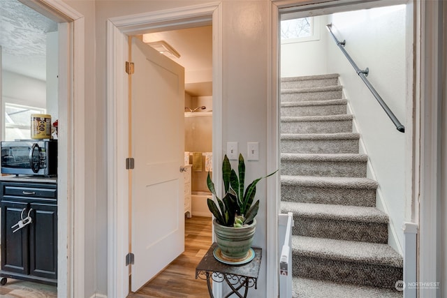 staircase featuring wood-type flooring