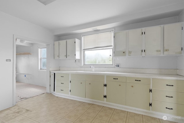 kitchen with white cabinetry, a healthy amount of sunlight, and sink