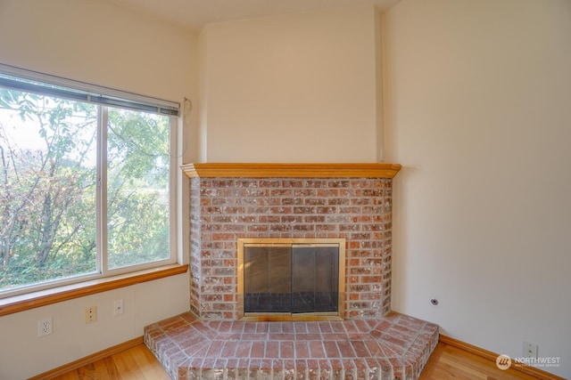 details featuring hardwood / wood-style floors and a fireplace