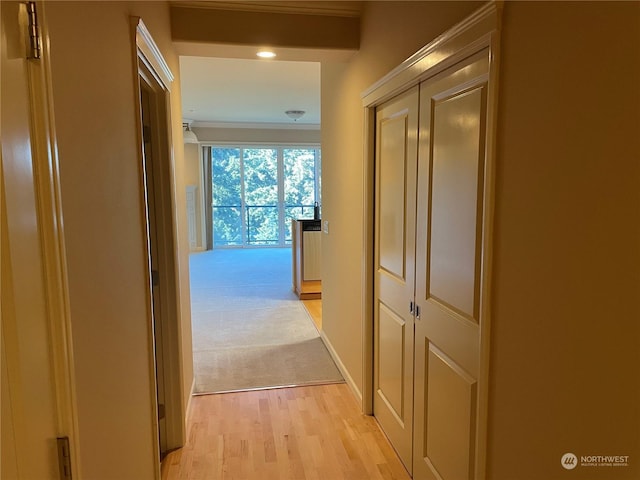 hallway with light colored carpet