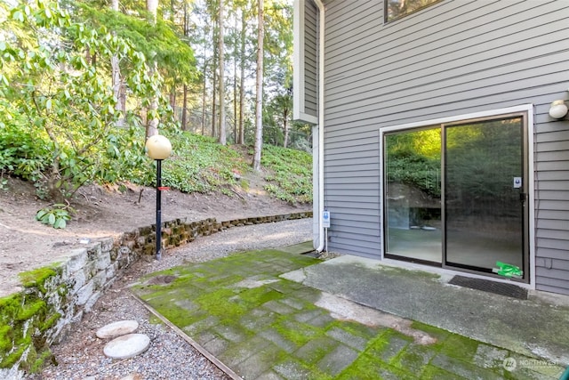 view of yard with a patio area