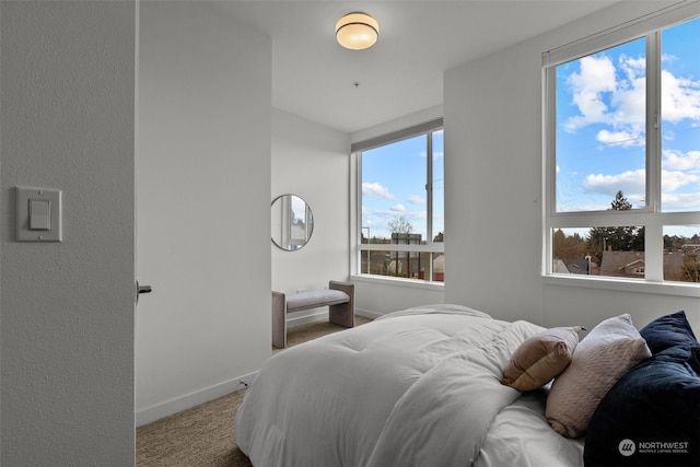 view of carpeted bedroom