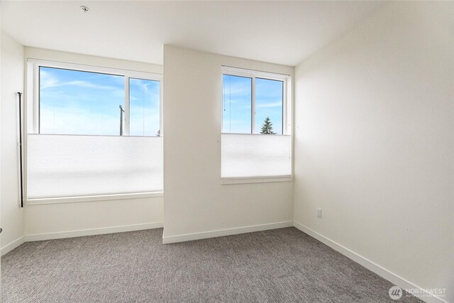 7500 15th Ave NW Unit E, Seattle, WA 98117 - photo 11