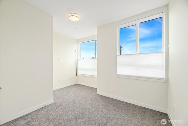 7500 15th Ave NW Unit E, Seattle, WA 98117 - photo 12