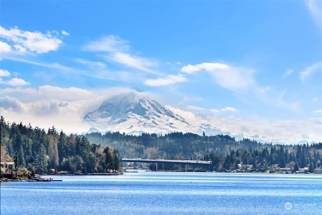 property view of water with a mountain view