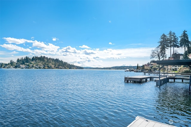 view of dock with a water view