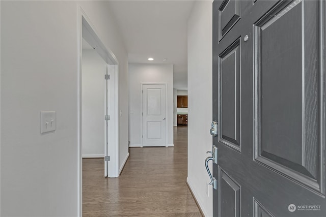 foyer featuring dark hardwood / wood-style floors