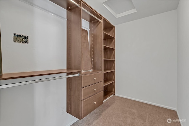 walk in closet featuring light colored carpet