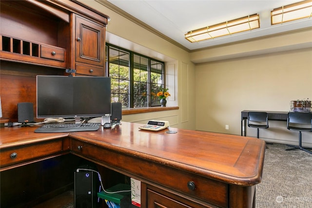 office area featuring ornamental molding and carpet floors