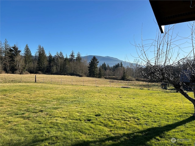 view of yard featuring a mountain view and a rural view