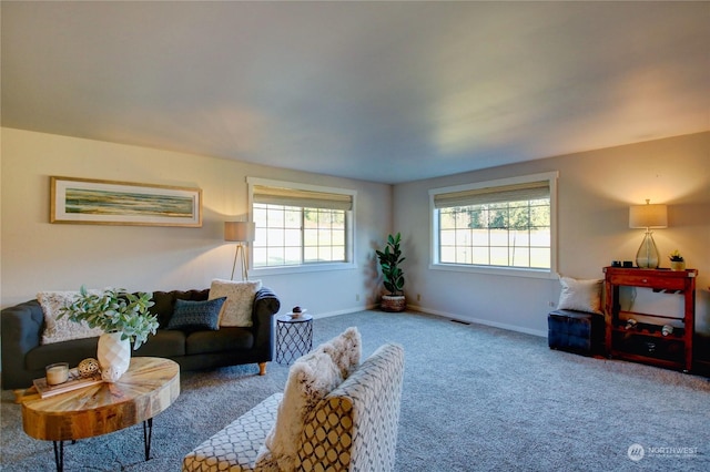 view of carpeted living room