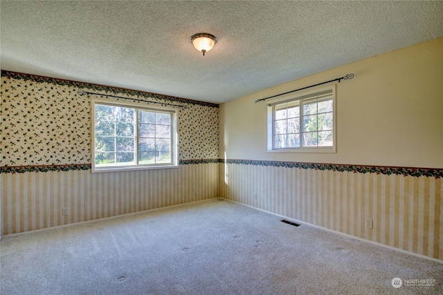 carpeted empty room with plenty of natural light and a textured ceiling