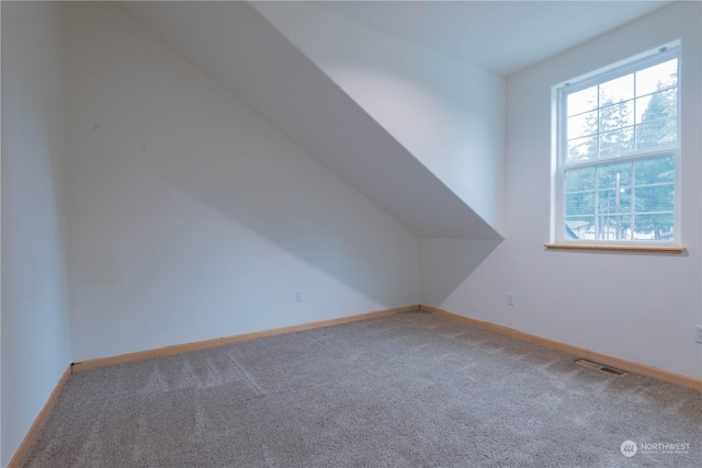 additional living space featuring carpet floors