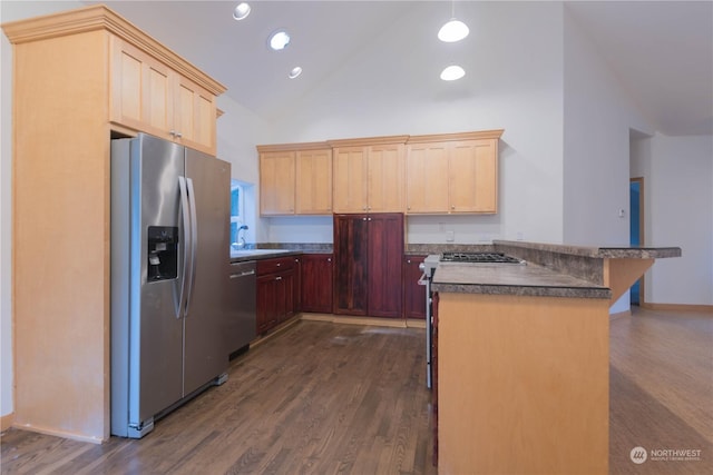 kitchen with a breakfast bar, high vaulted ceiling, light brown cabinets, dark hardwood / wood-style floors, and stainless steel appliances