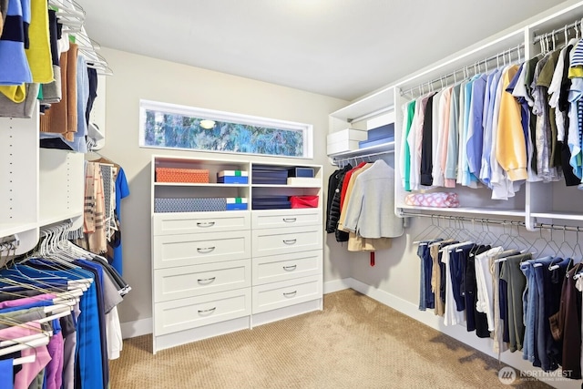 walk in closet featuring light carpet