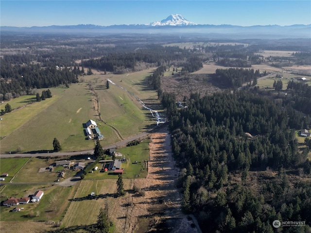 birds eye view of property featuring a mountain view