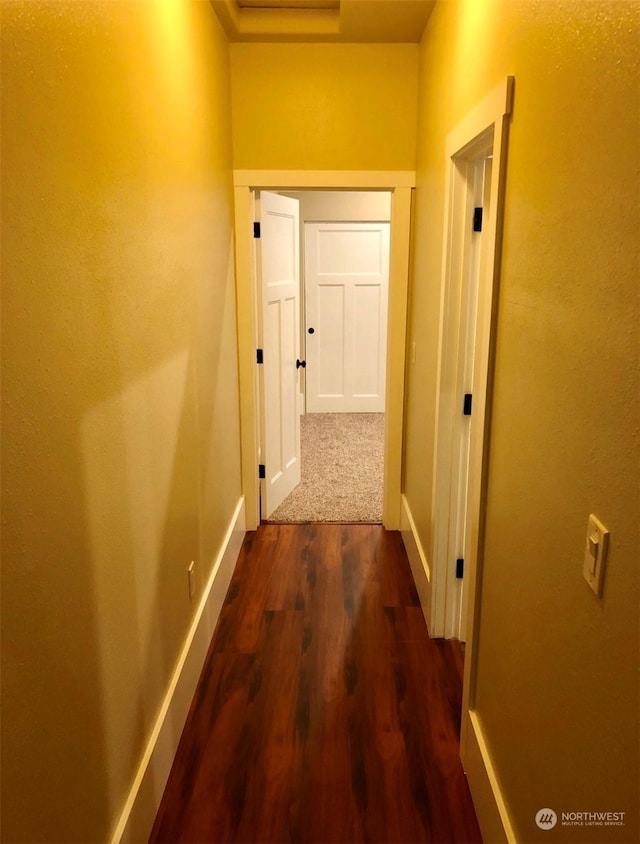 hall with dark hardwood / wood-style flooring