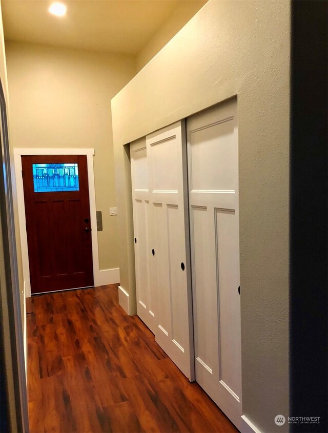 doorway to outside with dark wood-type flooring