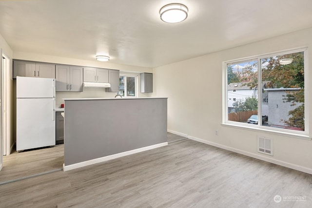 kitchen featuring gray cabinets, light hardwood / wood-style floors, and white fridge