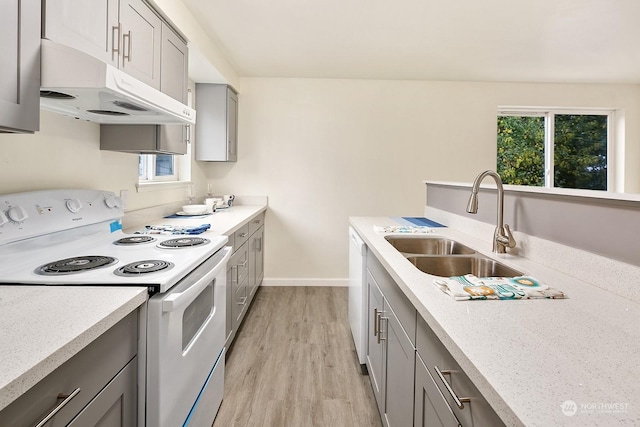 kitchen featuring sink, gray cabinetry, white appliances, and light hardwood / wood-style floors