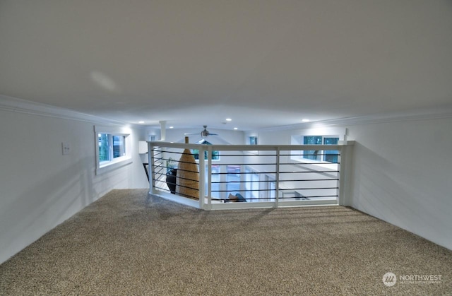 interior space featuring carpet floors