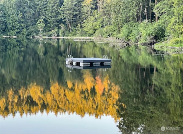 view of dock featuring a water view