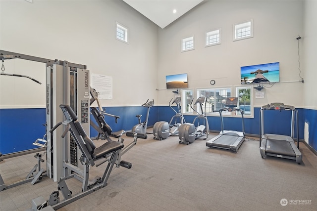 gym with a high ceiling