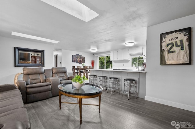 living room with dark hardwood / wood-style floors, a skylight, and sink