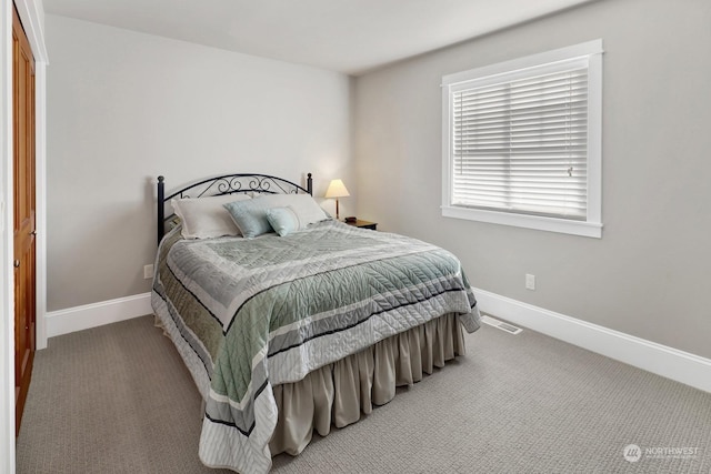 bedroom featuring carpet floors and a closet