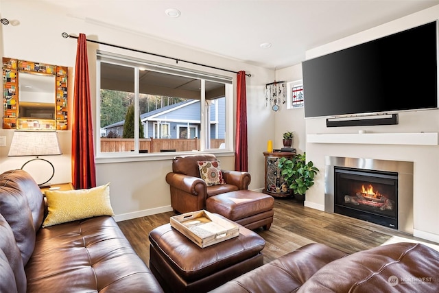 living room featuring wood-type flooring