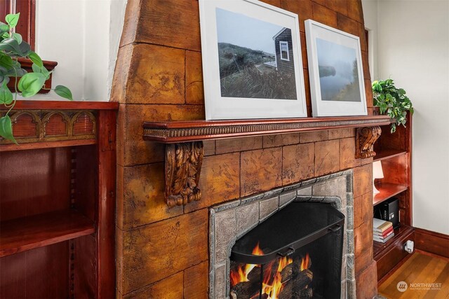 room details featuring hardwood / wood-style flooring and a fireplace