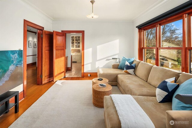 living room featuring crown molding and light hardwood / wood-style floors