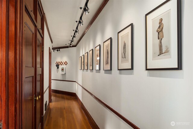 corridor featuring track lighting and dark hardwood / wood-style flooring