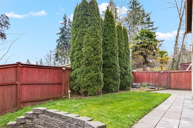 view of yard featuring a patio