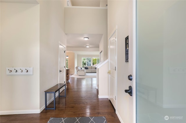 hall featuring a high ceiling and dark hardwood / wood-style floors