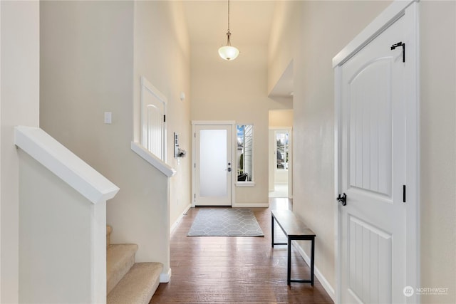 entryway featuring wood-type flooring and a high ceiling