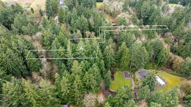 0 New Sweden Ave NE, Bainbridge Island, WA 98110 - photo 6