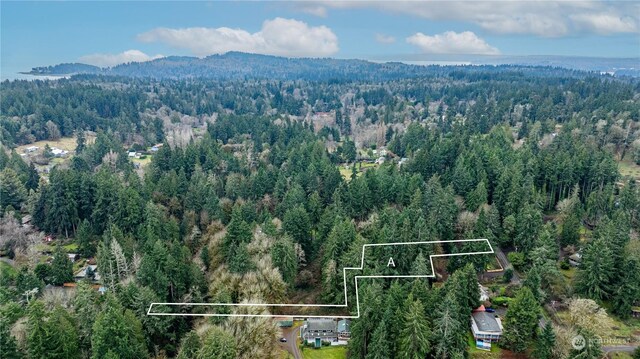 0 New Sweden Ave NE, Bainbridge Island, WA 98110 - photo 7