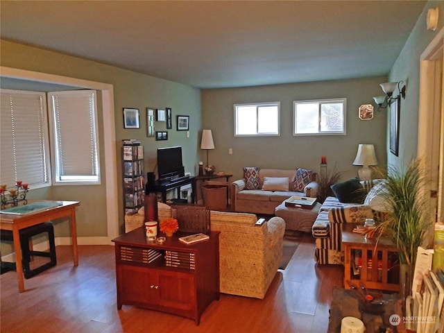 living room with hardwood / wood-style flooring