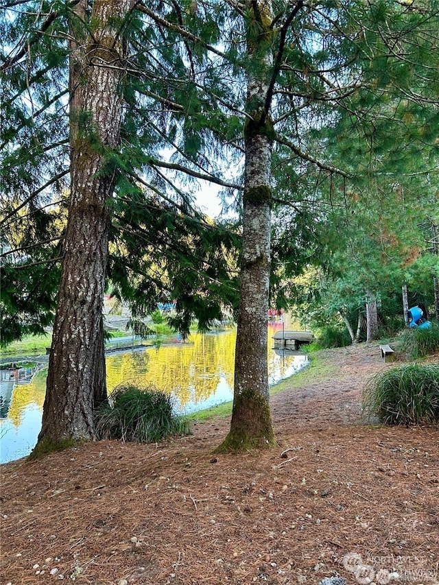 view of yard featuring a water view