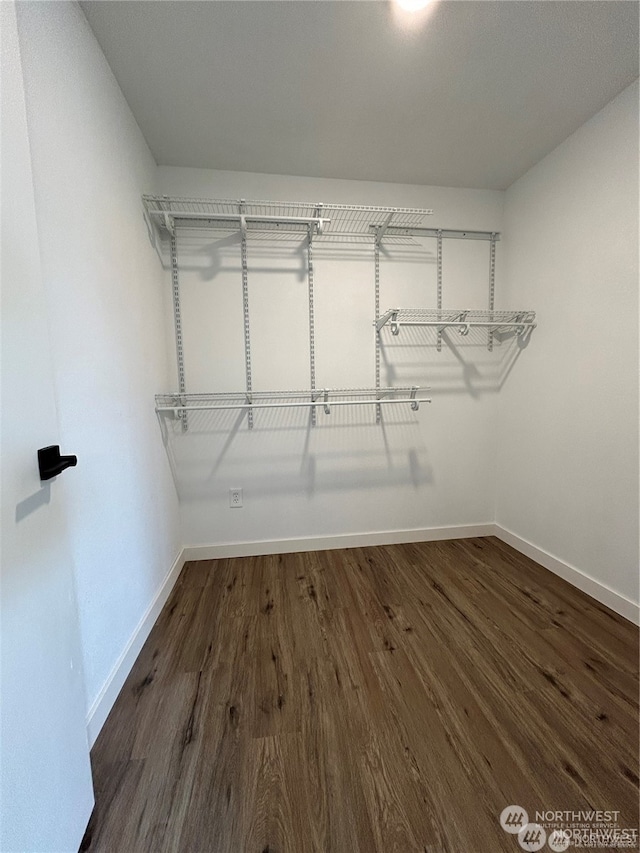 walk in closet with dark hardwood / wood-style floors