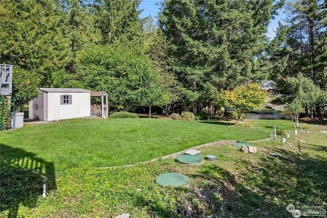 view of yard with a storage shed