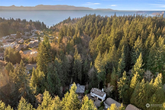 birds eye view of property featuring a mountain view