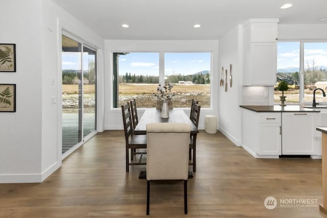 dining room with sink and a wealth of natural light