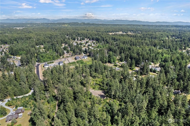 drone / aerial view with a mountain view