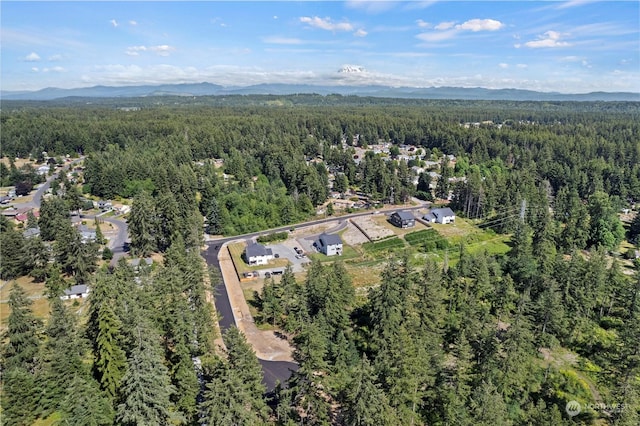 bird's eye view with a mountain view