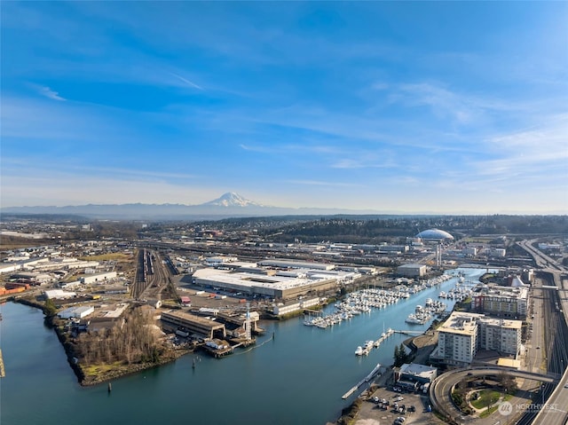 bird's eye view featuring a water and mountain view