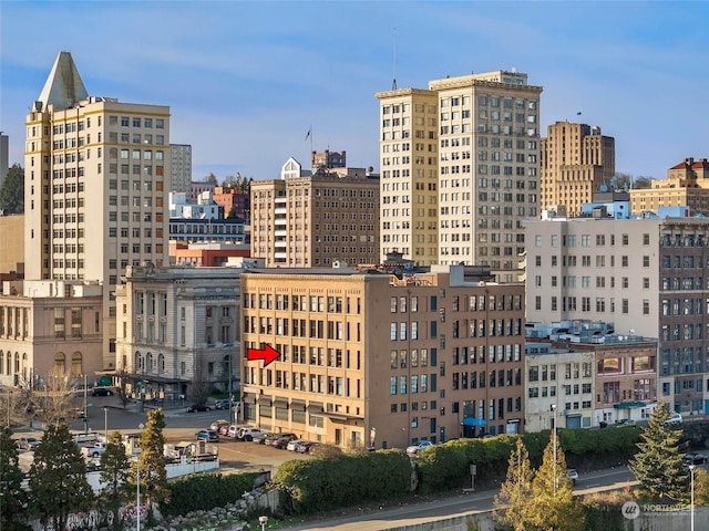 property's view of city