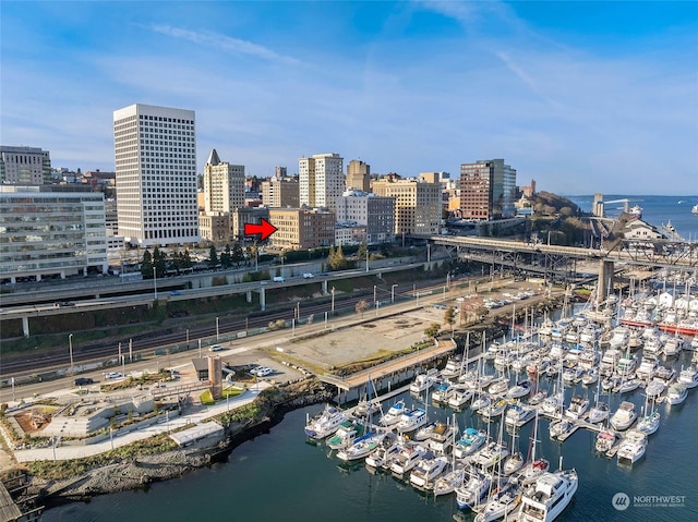 bird's eye view with a water view