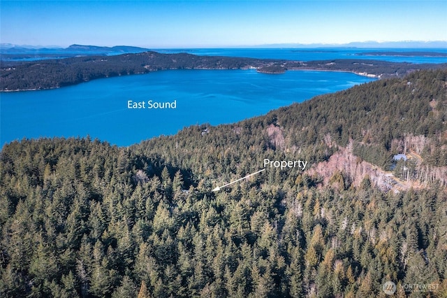 drone / aerial view featuring a water and mountain view and a view of trees